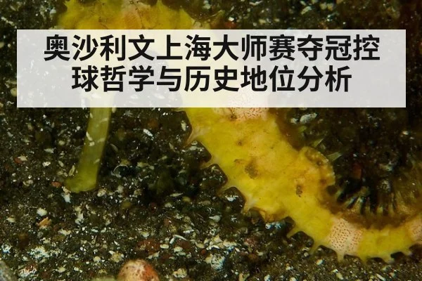 奥沙利文上海大师赛夺冠控球哲学与历史地位分析