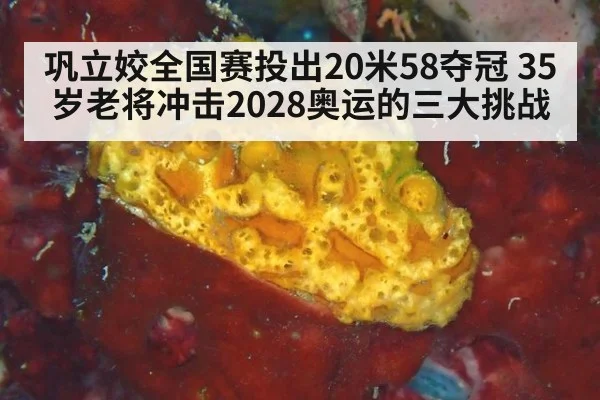 巩立姣全国赛投出20米58夺冠 35岁老将冲击2028奥运的三大挑战